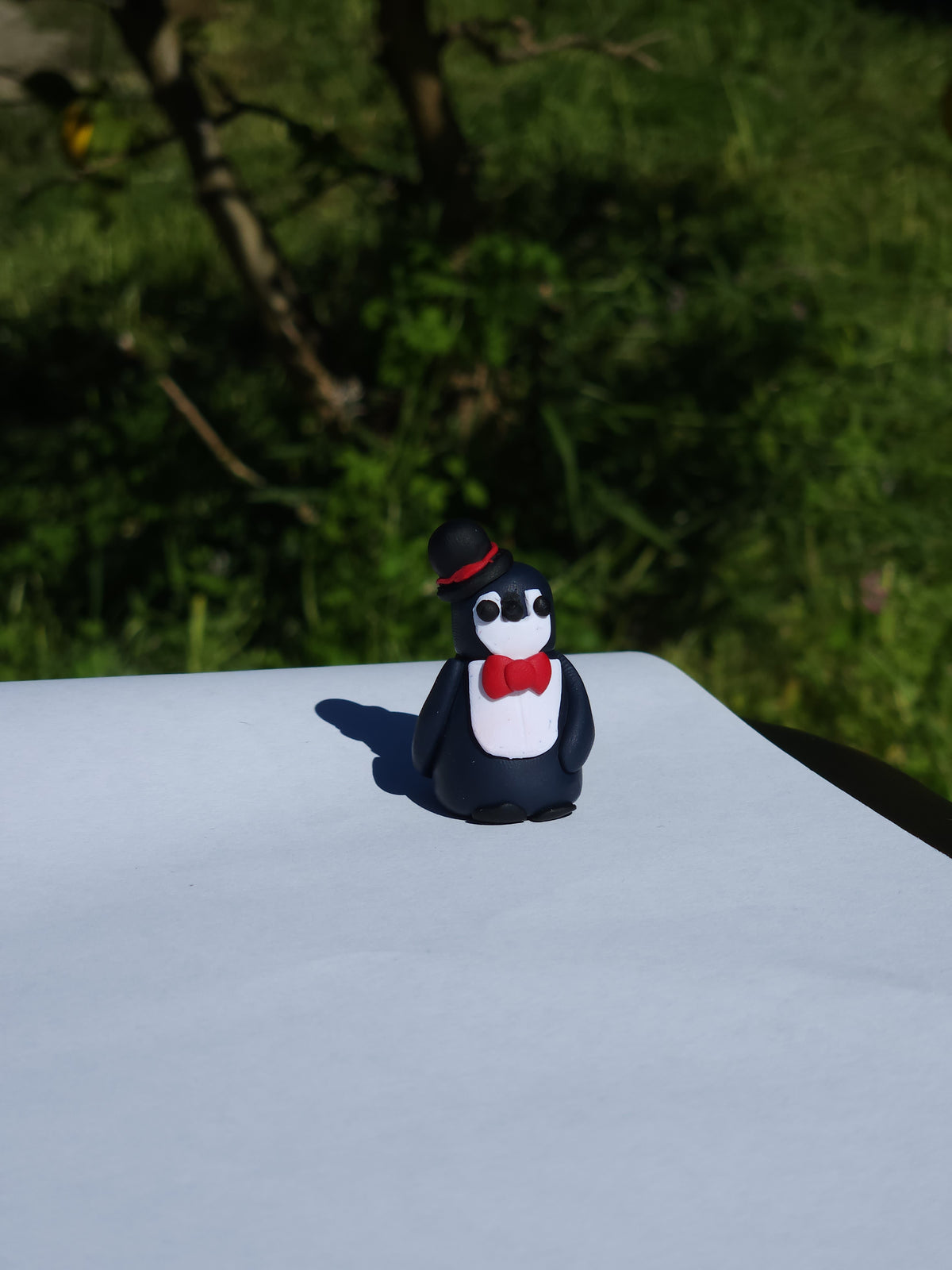 Patrick Phillip the Little Penguin